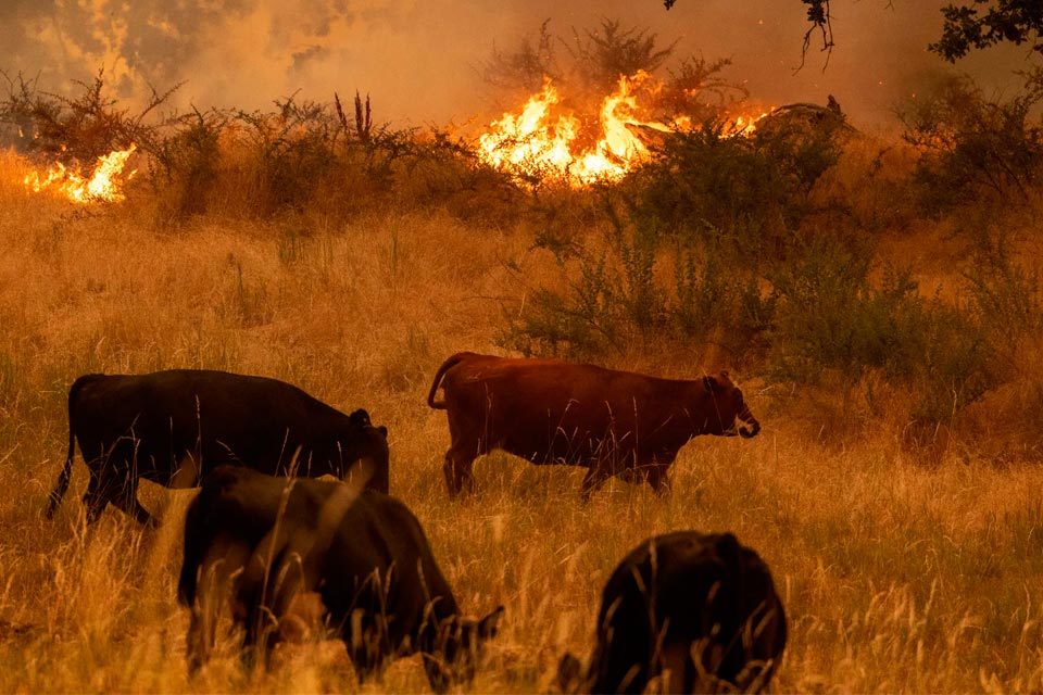 Sudamérica con graves incendios forestales durante el 2024