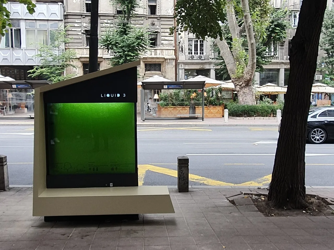 «Árbol líquido», un curioso invento usado para oxigenar las grandes ciudades