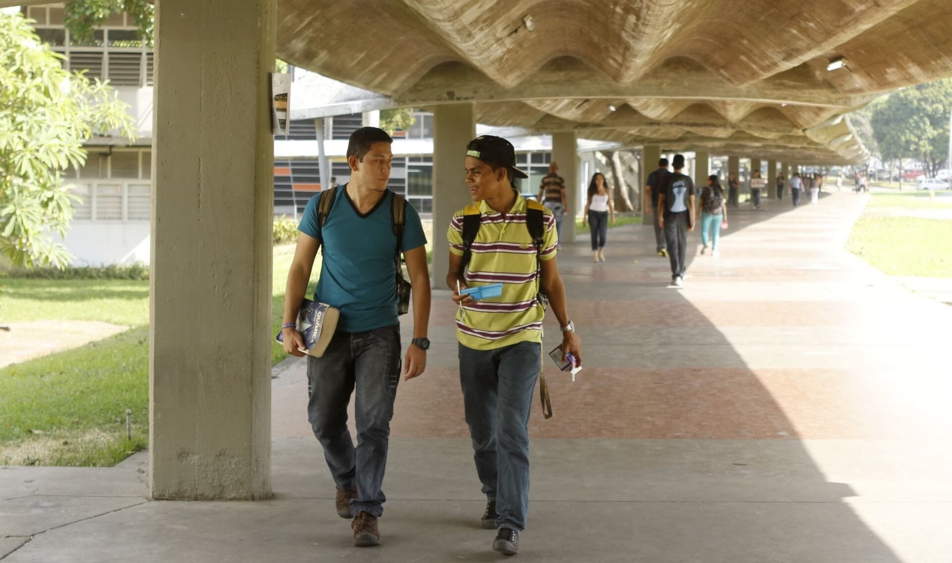 Estudio de la Ucab: Un 40 % de futuros profesionales universitarios esperan trabajar en Venezuela