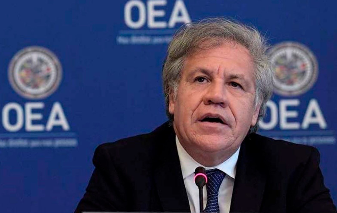 Luis Almagro se retira como secretario general de la OEA