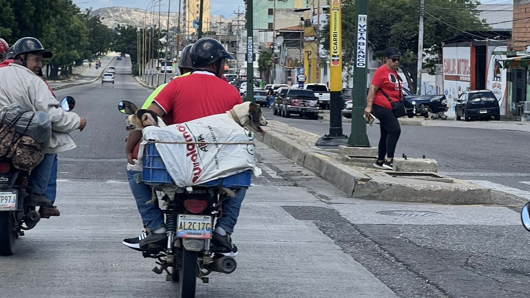 Captan a sujetos en motocicleta transportando dos perros en una cesta al Oeste de Barquisimeto
