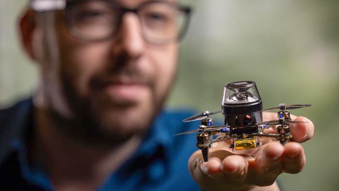 Crean robot inspirado en las hormigas