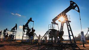 Pequeña y mediana industria del crudo espera crecimiento del Fondo Petrolia