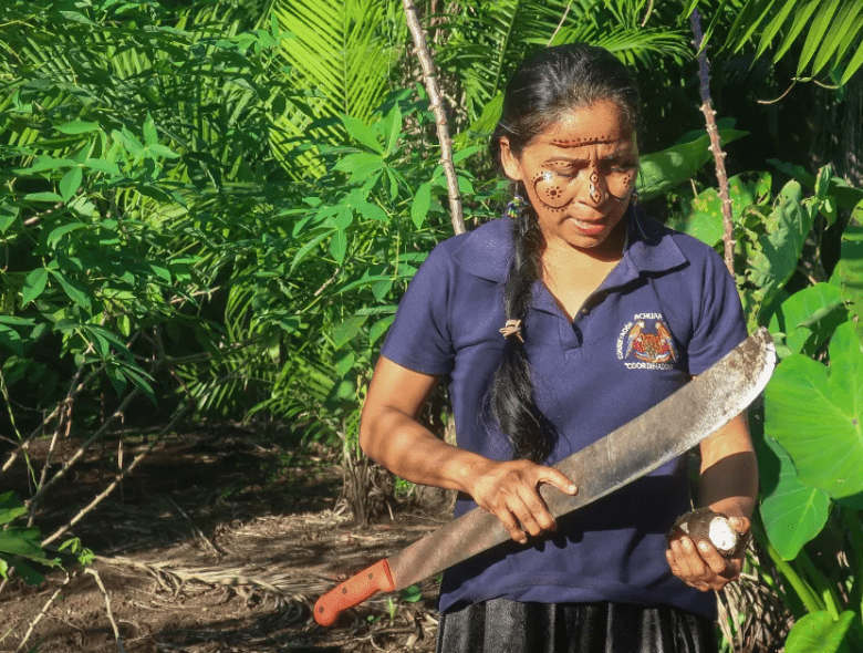 Beneficios de las ‘chacras’ de los pueblos indígenas de la Amazonía