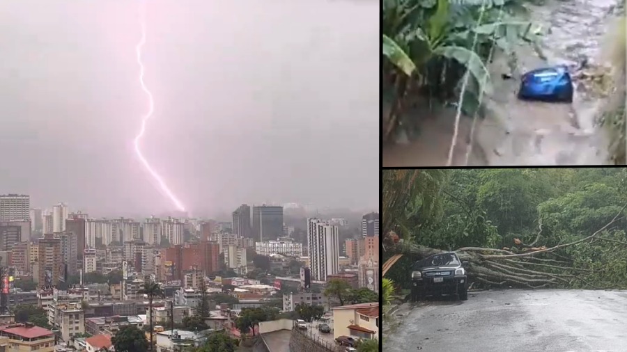 Lluvias provocan deslaves, inundaciones y caídas de árboles en varias zonas de Caracas (+ Videos)