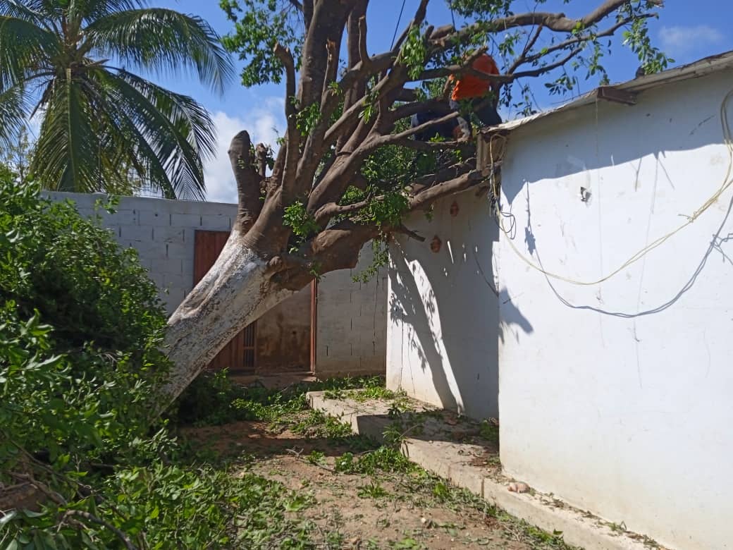 26 viviendas afectadas por las lluvias en Torres